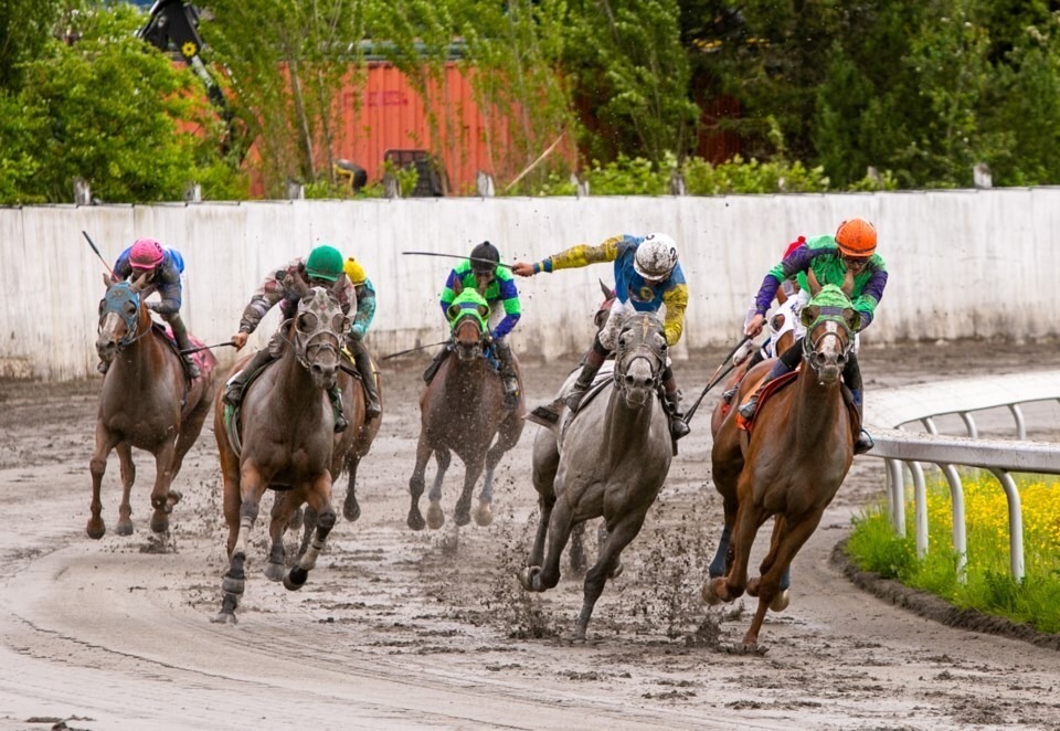Thoroughbred horses and jockeys race around a muddy track curve at Hastings Racecourse, capturing the intensity of live horse racing in Vancouver.