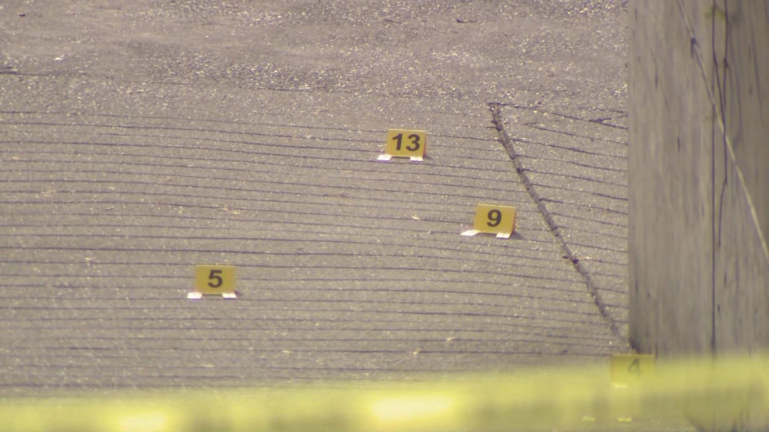 Police respond to reports of shots fired