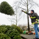 Surrey firefighter loads Christmas trees into chipper at Guildford Town Centre during heavy rain tree-chip charity event
