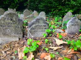 Weathered headstones marking pets buried at a former pet cemetery in Surrey, British Columbia.