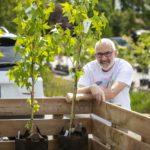 Surrey’s $20 tree sales return this spring