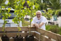 Surrey’s $20 tree sales return this spring