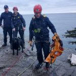 West Vancouver firefighters rescue a black lab from a cliff ledge in Lighthouse Park Jan. 30