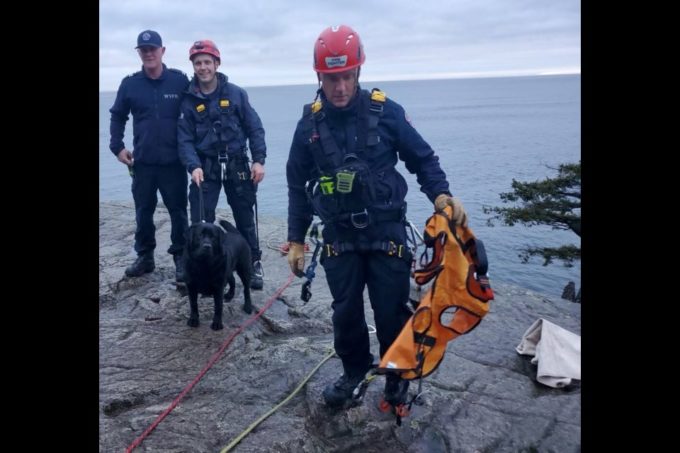 West Vancouver firefighters rescue a black lab from a cliff ledge in Lighthouse Park Jan. 30