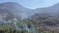 Smoke rising from wildfire in British Columbia forest during 2026 fire season