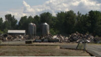 Firefighters battling large barn fire at Abbotsford poultry farm