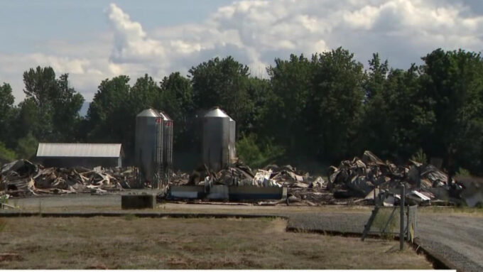 Firefighters battling large barn fire at Abbotsford poultry farm