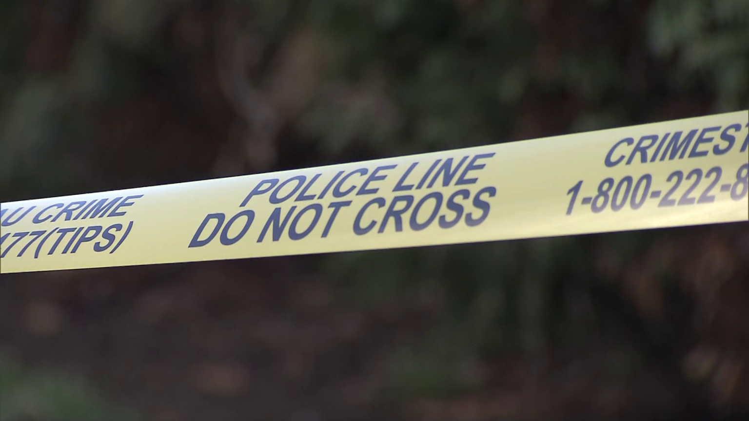 Police officers and emergency vehicles responding to a targeted shooting investigation in Langley, British Columbia.