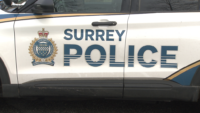 “Police investigate after a pedestrian was struck by a vehicle in Surrey, with emergency crews responding to the scene.”