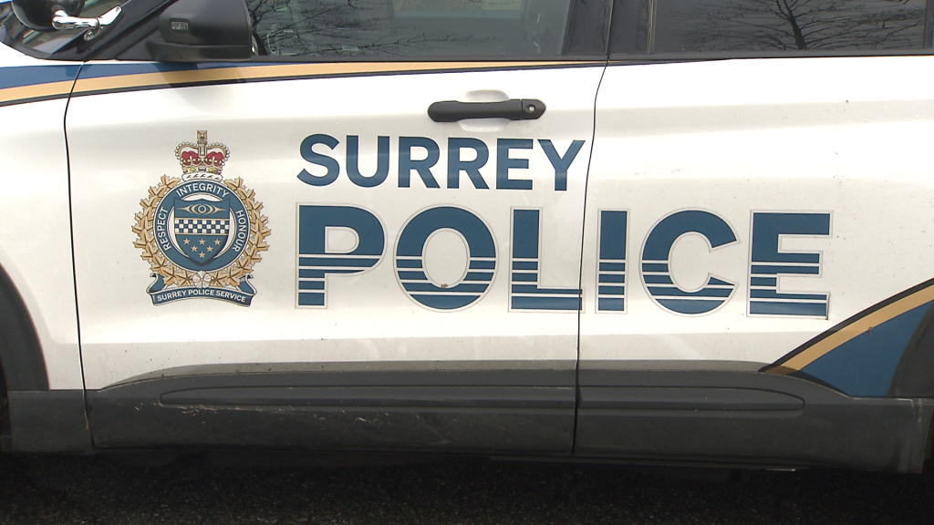 “Police investigate after a pedestrian was struck by a vehicle in Surrey, with emergency crews responding to the scene.”