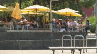 Craft beer glasses served at a busy British Columbia brewery patio during summer