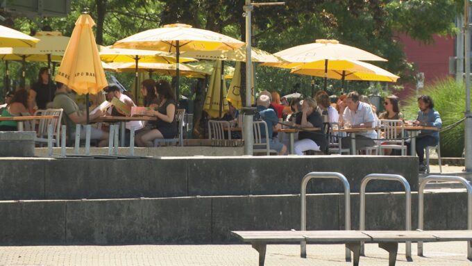 Craft beer glasses served at a busy British Columbia brewery patio during summer